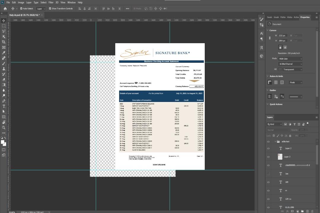 Modèle Word et PDF de relevé d'entreprise de Signature Bank template
